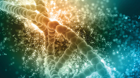 أقوى دليل حتى الآن.. فيروس كورونا قد يخترق الجينوم البشري صورة رقم 2