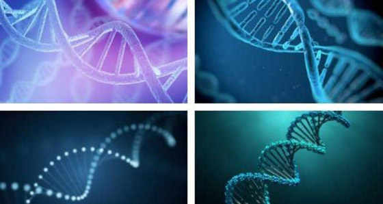 أقوى دليل حتى الآن.. فيروس كورونا قد يخترق الجينوم البشري صورة رقم 1