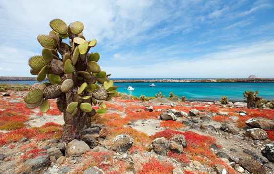 بالصور: إليكم أفضل مناطق سياحية لمحبي المغامرة 2021 صورة رقم 2