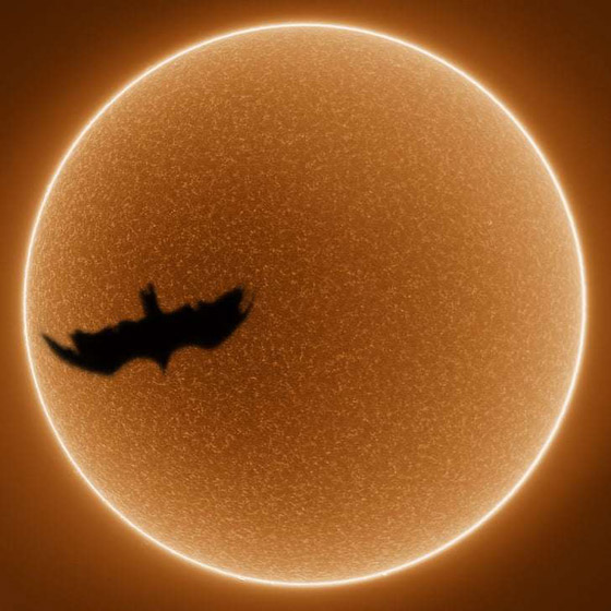 إليكم صور نادرة تظهر عجائب الطبيعة المذهلة والساحرة صورة رقم 1