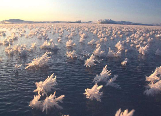 إليكم صور نادرة تظهر عجائب الطبيعة المذهلة والساحرة صورة رقم 3