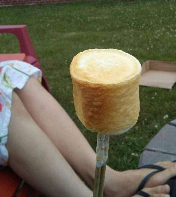 مشاهد جاذبة لعشاق الكمال في الصور صورة رقم 8