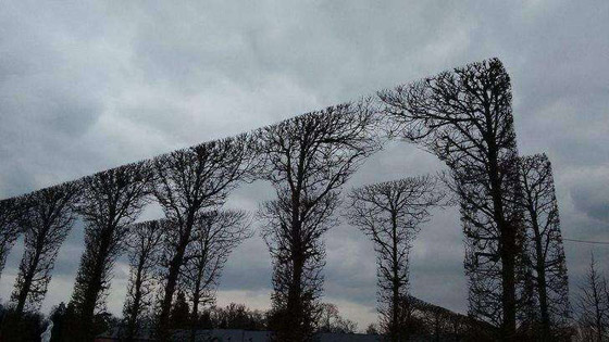 مشاهد جاذبة لعشاق الكمال في الصور صورة رقم 9