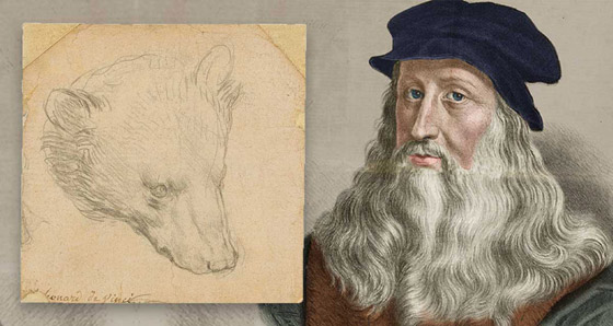 عرض رسمة نادرة (رأس الدب) للرسام دافنشي بمزاد بـ17 مليون دولار صورة رقم 2