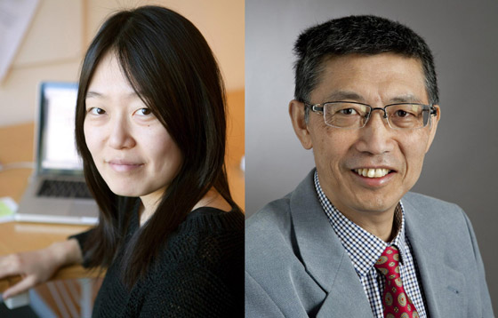 اختراع ثوري.. كيف تصبح المباني الخرسانية بطاريات عملاقة؟ صورة رقم 3