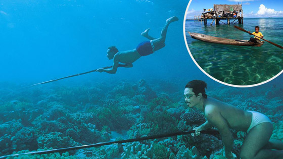 قبائل الباجاو.. كيف حولتهم طفرة جينية إلى ضفادع بشرية؟ صورة رقم 3