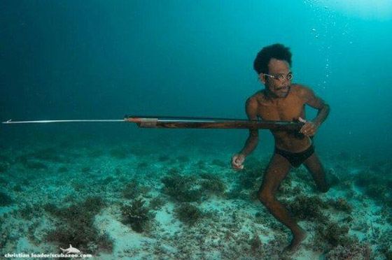 قبائل الباجاو.. كيف حولتهم طفرة جينية إلى ضفادع بشرية؟ صورة رقم 5