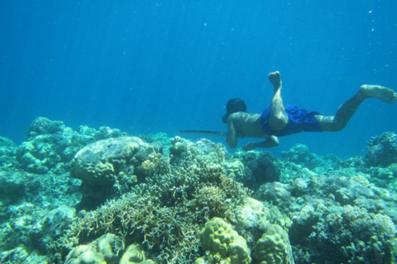 قبائل الباجاو.. كيف حولتهم طفرة جينية إلى ضفادع بشرية؟ صورة رقم 6