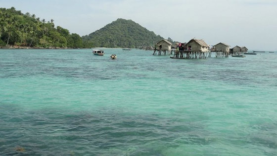 قبائل الباجاو.. كيف حولتهم طفرة جينية إلى ضفادع بشرية؟ صورة رقم 7