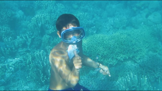 قبائل الباجاو.. كيف حولتهم طفرة جينية إلى ضفادع بشرية؟ صورة رقم 8