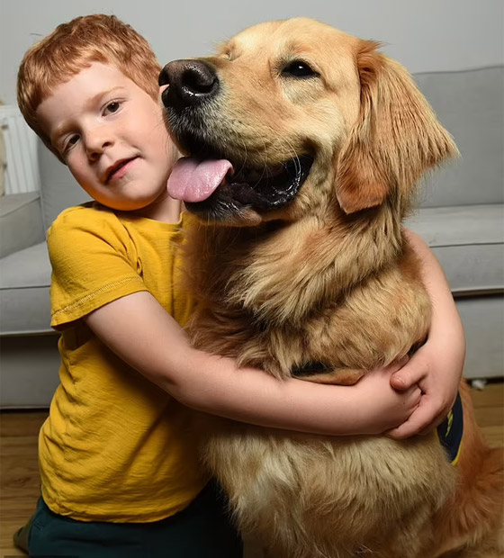 صداقة رائعة مؤثرة بين طفل كفيف وكلب مخلص يعوض الطفل عن فقدان حاسة البصر صورة رقم 1