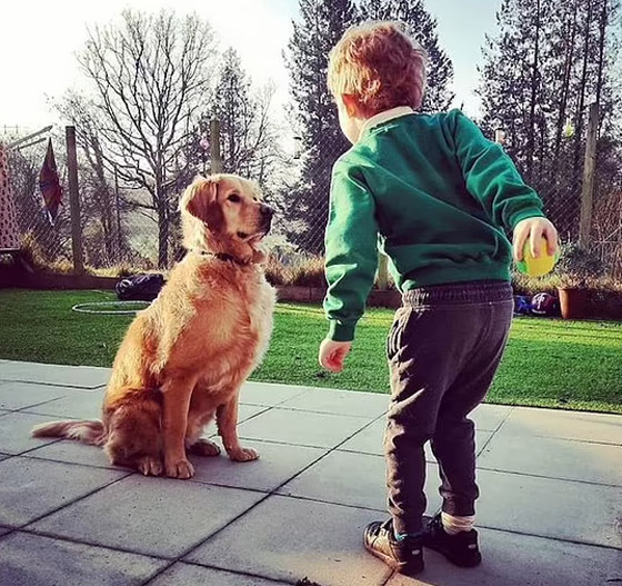 صداقة رائعة مؤثرة بين طفل كفيف وكلب مخلص يعوض الطفل عن فقدان حاسة البصر صورة رقم 8