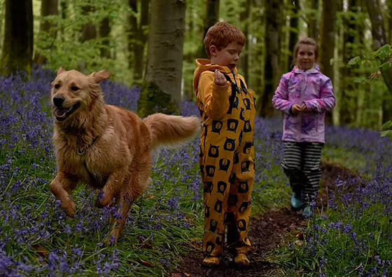 صداقة رائعة مؤثرة بين طفل كفيف وكلب مخلص يعوض الطفل عن فقدان حاسة البصر صورة رقم 9