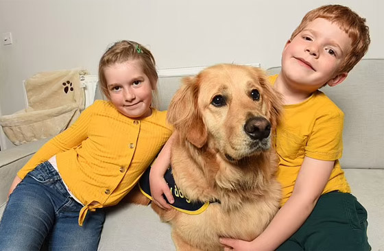 صداقة رائعة مؤثرة بين طفل كفيف وكلب مخلص يعوض الطفل عن فقدان حاسة البصر صورة رقم 10