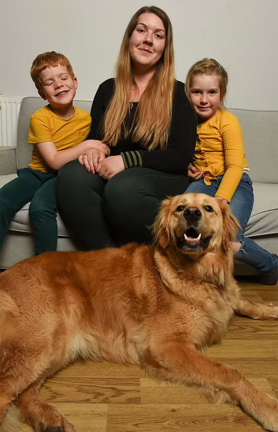 صداقة رائعة مؤثرة بين طفل كفيف وكلب مخلص يعوض الطفل عن فقدان حاسة البصر صورة رقم 11