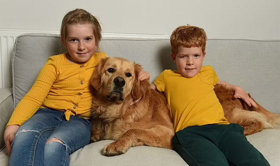 صداقة رائعة مؤثرة بين طفل كفيف وكلب مخلص يعوض الطفل عن فقدان حاسة البصر صورة رقم 13