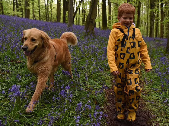 صداقة رائعة مؤثرة بين طفل كفيف وكلب مخلص يعوض الطفل عن فقدان حاسة البصر صورة رقم 19