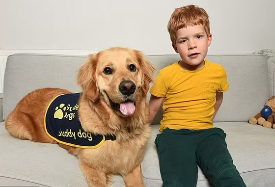 صداقة رائعة مؤثرة بين طفل كفيف وكلب مخلص يعوض الطفل عن فقدان حاسة البصر صورة رقم 21