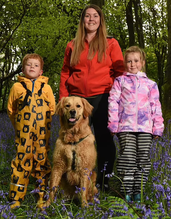 صداقة رائعة مؤثرة بين طفل كفيف وكلب مخلص يعوض الطفل عن فقدان حاسة البصر صورة رقم 23