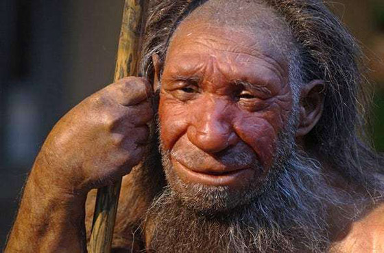 استوطنوا الأرض في عصور ما قبل التاريخ.. من هم النياندرتال؟ صورة رقم 5