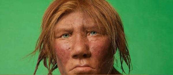 استوطنوا الأرض في عصور ما قبل التاريخ.. من هم النياندرتال؟ صورة رقم 6