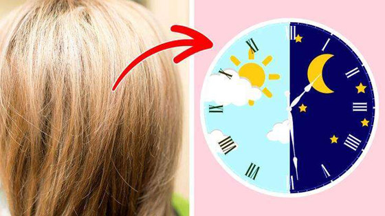 التذوق بالأنف.. وأغرب أسرار الجسم البشري صورة رقم 4