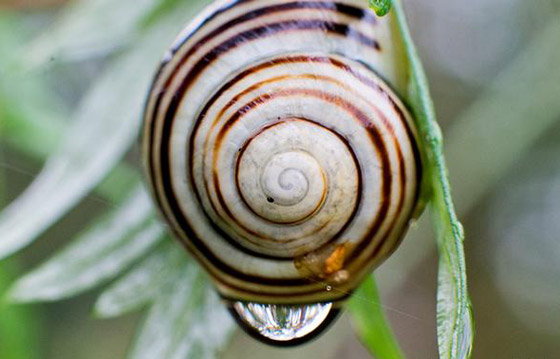 المطر نعمة على بعض الكائنات الحية ونقمة على بعضها الآخر! صورة رقم 1