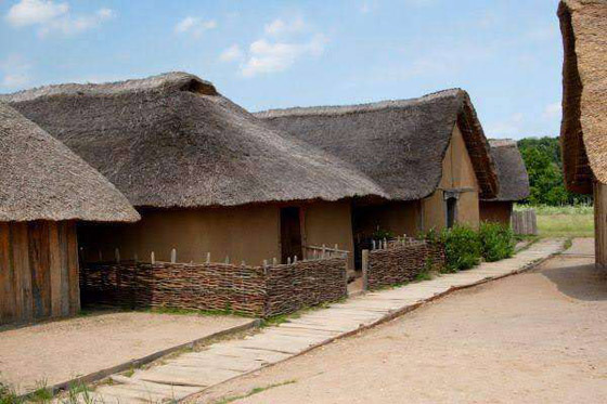 من «كهوف دينيسوفا» إلى «قصور دوموس».. كيف صنع البشر منازلهم عبر التاريخ؟ صورة رقم 10