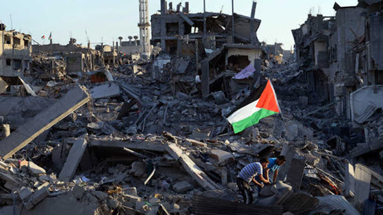 600 موسيقي عالمي يقررون مقاطعة إسرائيل والتضامن مع فلسطين صورة رقم 6