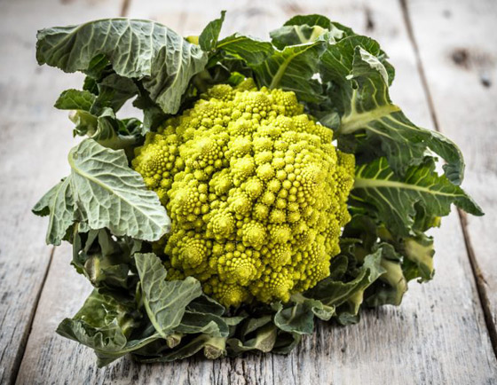 بالصور: تعرفوا إلى أغرب أنواع الفواكه وأسمائها حول العالم صورة رقم 2