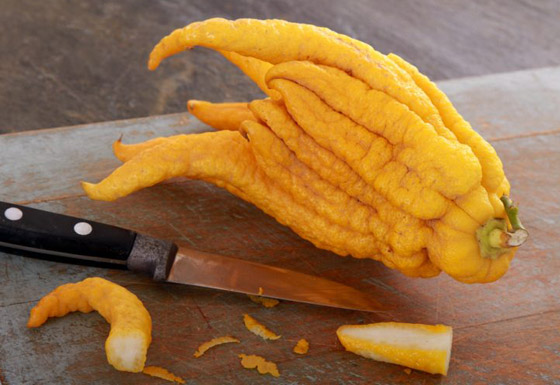 بالصور: تعرفوا إلى أغرب أنواع الفواكه وأسمائها حول العالم صورة رقم 6