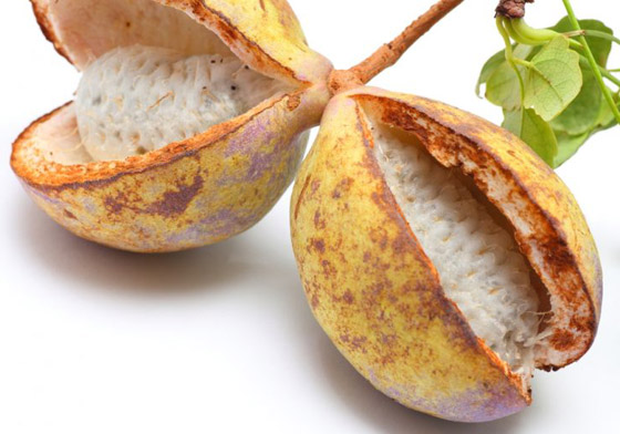 بالصور: تعرفوا إلى أغرب أنواع الفواكه وأسمائها حول العالم صورة رقم 13