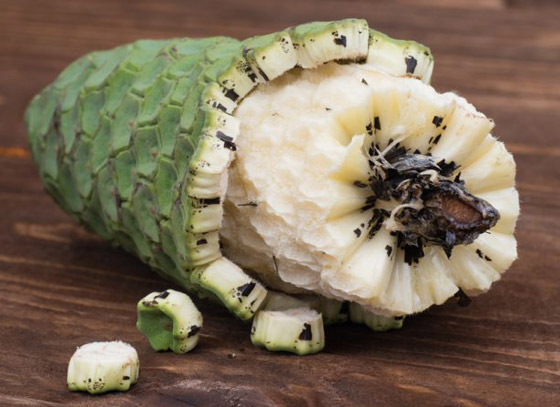 بالصور: تعرفوا إلى أغرب أنواع الفواكه وأسمائها حول العالم صورة رقم 16