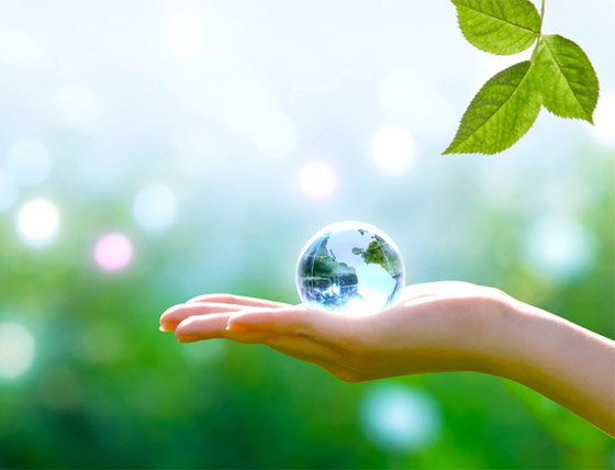 تعمل في صمت ليلا ونهارا.. أي الكائنات الأكثر انتشارا على وجه الأرض؟ صورة رقم 1