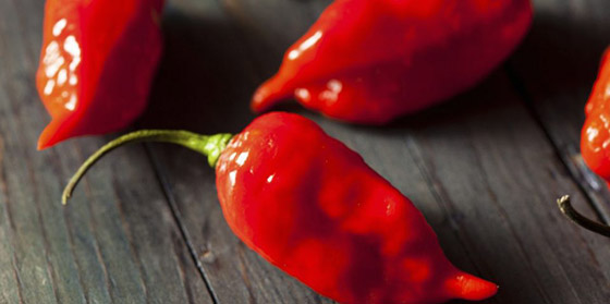 تعرفوا الى أقوى 8 أنواع من الفلفل الحار في العالم صورة رقم 6 تعرفوا الى أقوى 8 أنواع من الفلفل الحار في العالم صورة رقم 6