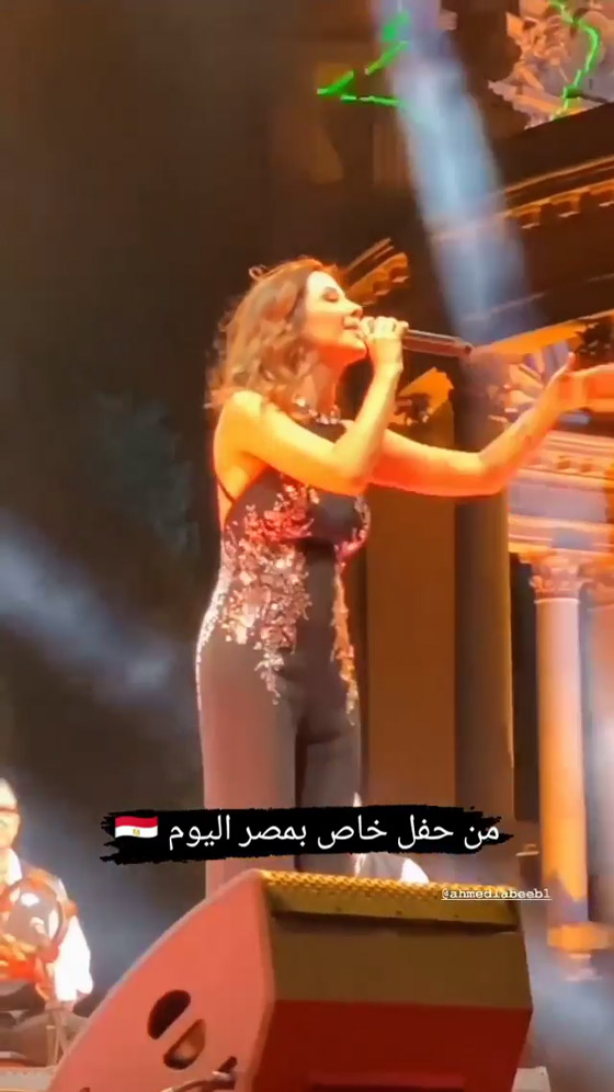 بالفيديو.. نانسي عجرم تغني وترقص بعد وفاة حماتها.. وتُغضب الجمهور صورة رقم 10