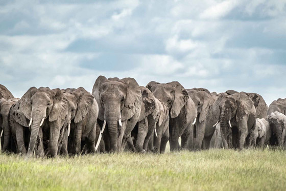 بالصور: جائزة (وايتلي) للصور الطبيعية تعلن أسماء الفائزين لعام 2021 صورة رقم 1