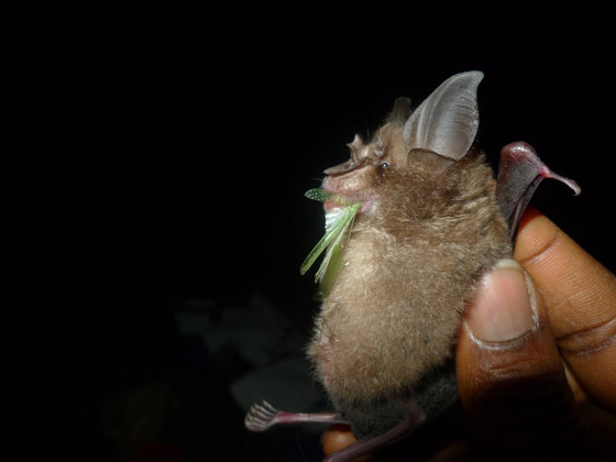 بالصور: جائزة (وايتلي) للصور الطبيعية تعلن أسماء الفائزين لعام 2021 صورة رقم 6