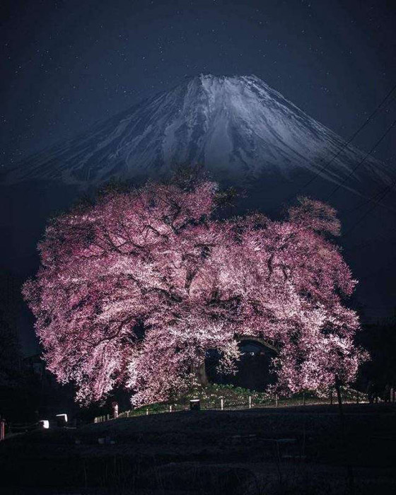 صور ملهمة عن سحر قارة آسيا صورة رقم 10