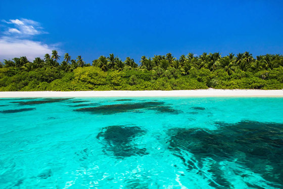 بالصور: تعرفوا إلى 10 أجمل شواطئ في جزر المالديف لرحلتكم المقبلة صورة رقم 8