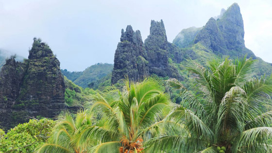 جزيرة الجنة.. نظرة داخل واحدة من أكثر المواقع النائية الخلابة في العالم صورة رقم 2