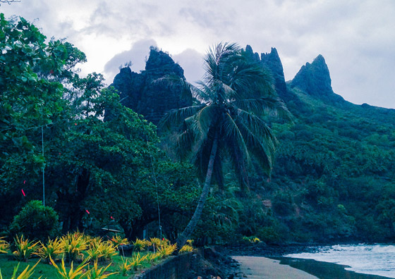 جزيرة الجنة.. نظرة داخل واحدة من أكثر المواقع النائية الخلابة في العالم صورة رقم 11