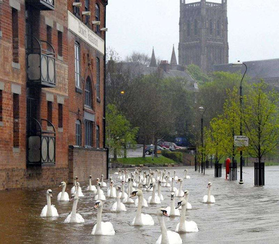 قمم لافيرادو.. وأفضل الصور الجاذبة للعين صورة رقم 11