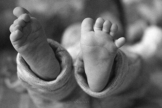 قمم لافيرادو.. وأفضل الصور الجاذبة للعين صورة رقم 12