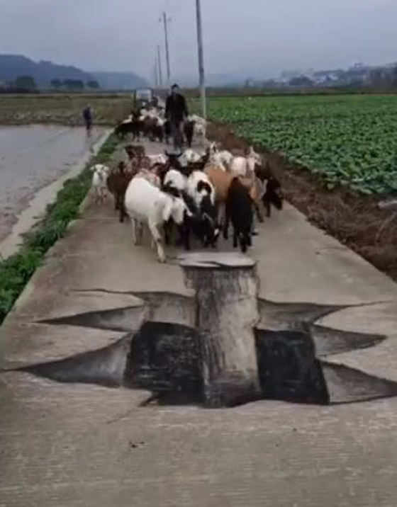 فيديو وصور: فنان صيني يبدع برسم لوحات وهمية ثلاثية الابعاد على الارض لشقوق وحفر تخدع المارة صورة رقم 3