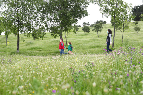 رجل يقضي 10 سنوات في تجميل فناء منزله.. أنفق 11 ألف دولار لتحويله إلى “جنة” من الأسماك والشلالات صورة رقم 4