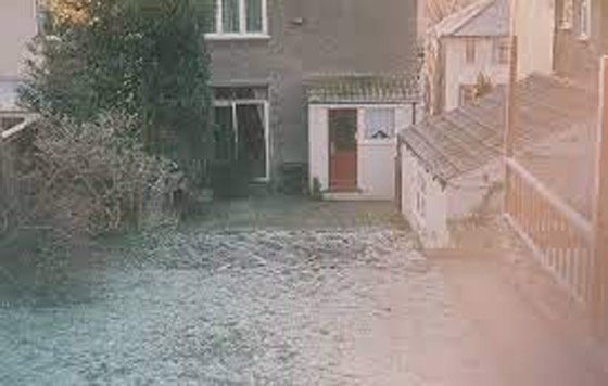 رجل يقضي 10 سنوات في تجميل فناء منزله.. أنفق 11 ألف دولار لتحويله إلى “جنة” من الأسماك والشلالات صورة رقم 5