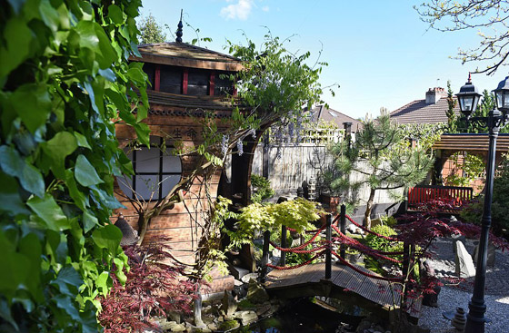 رجل يقضي 10 سنوات في تجميل فناء منزله.. أنفق 11 ألف دولار لتحويله إلى “جنة” من الأسماك والشلالات صورة رقم 6