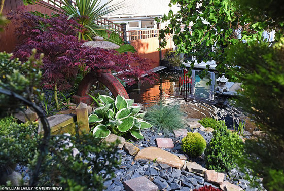 رجل يقضي 10 سنوات في تجميل فناء منزله.. أنفق 11 ألف دولار لتحويله إلى “جنة” من الأسماك والشلالات صورة رقم 7