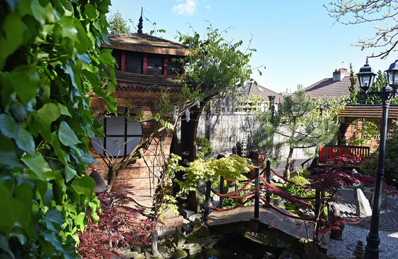 رجل يقضي 10 سنوات في تجميل فناء منزله.. أنفق 11 ألف دولار لتحويله إلى “جنة” من الأسماك والشلالات صورة رقم 12